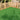 Artificial Grass Tiles for Outdoor Makeover